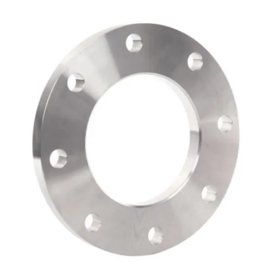 Stainless Steel Forged Custom Flange for Distillation Tower Use